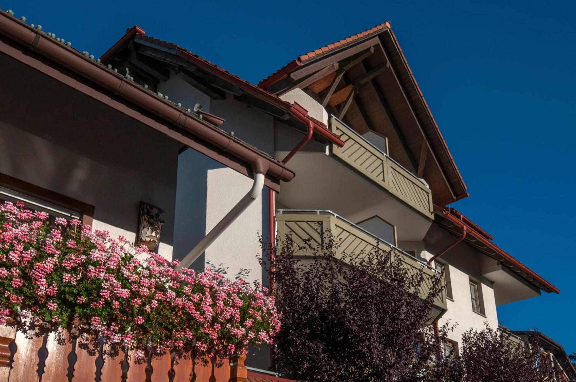 Apartment 03 - Ferienresidenz Roseneck, Mit Schwimmbad In Todtnauberg Bei Feldberg Exterior foto