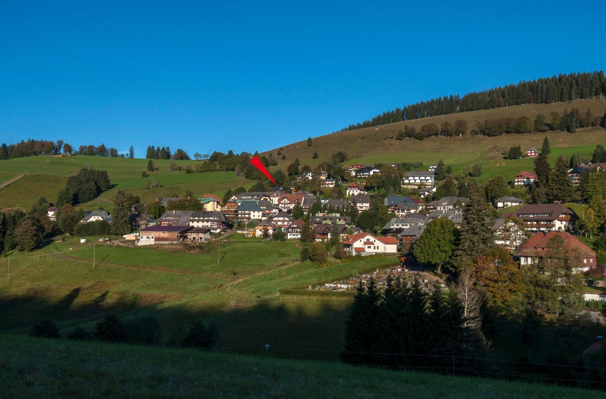 Apartment 03 - Ferienresidenz Roseneck, Mit Schwimmbad In Todtnauberg Bei Feldberg Exterior foto